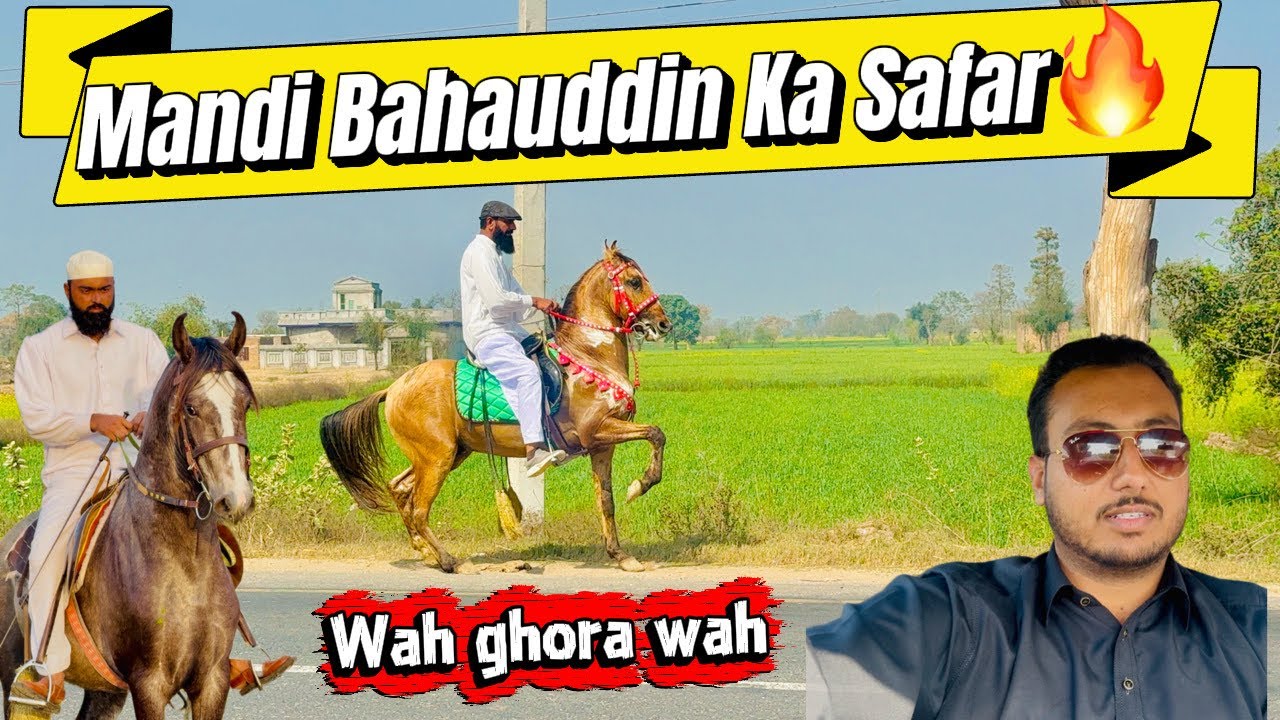 Jhelum Say Mandi Bahauddin Kamyab Safar📍| Training & Gathering🔥| Toqeer Numberdar Vlogs