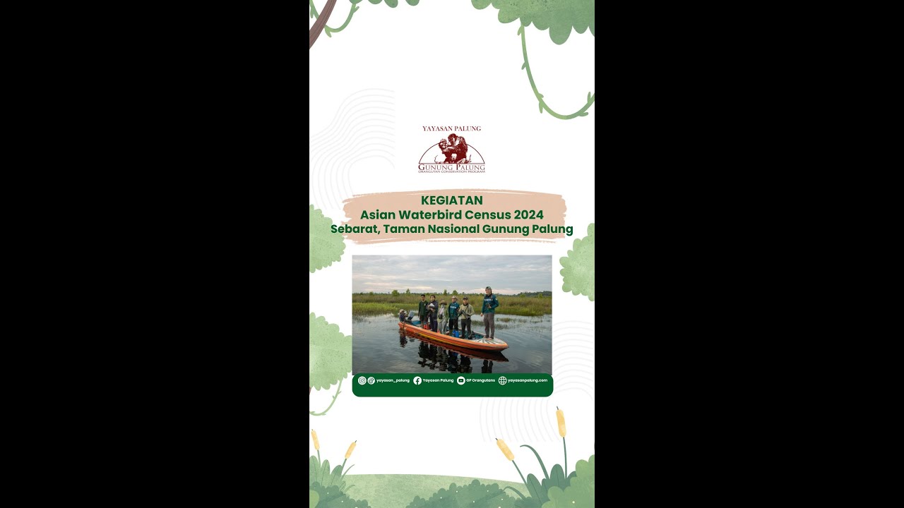 Asian Waterbird Census (AWC) 2024 Sebarat, Taman Nasional Gunung Palung (TANAGUPA)
