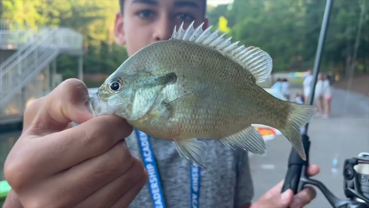 YMCA Camp High Harbour at Lake Allatoona | Summer 2025 Session 7