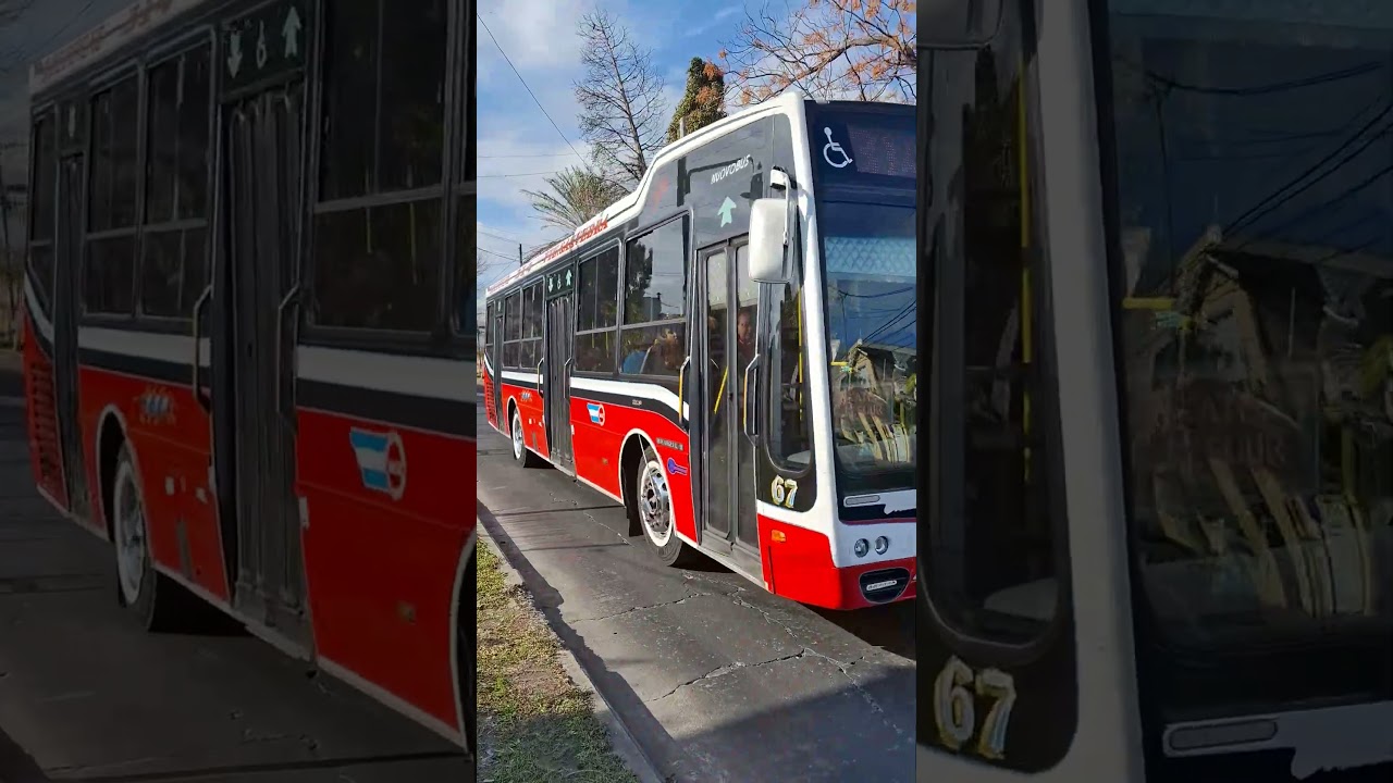 El Famoso 67 de la 3k Modelo Nuovobus Citta
