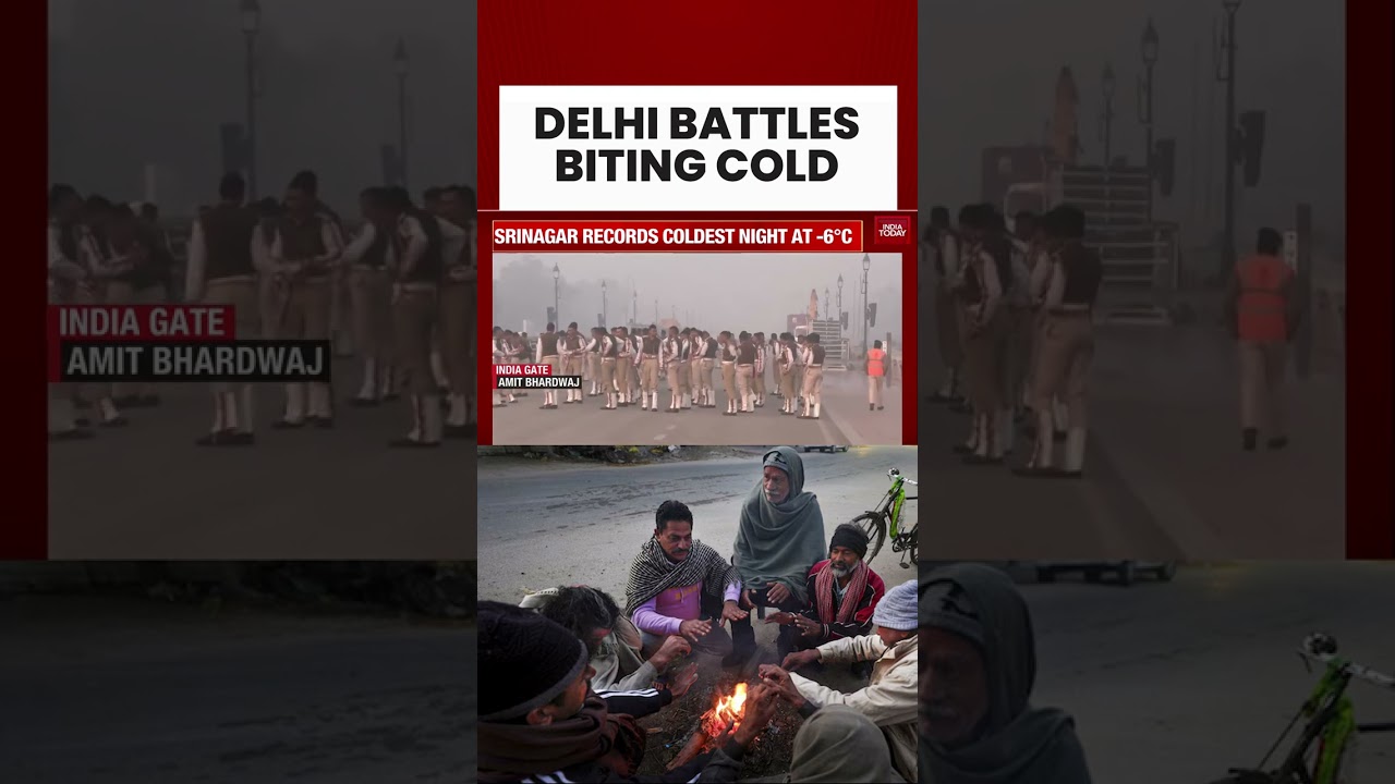 Delhi Grapples With Biting Cold Wave | North India Cold Wave News | Delhi Winter Season