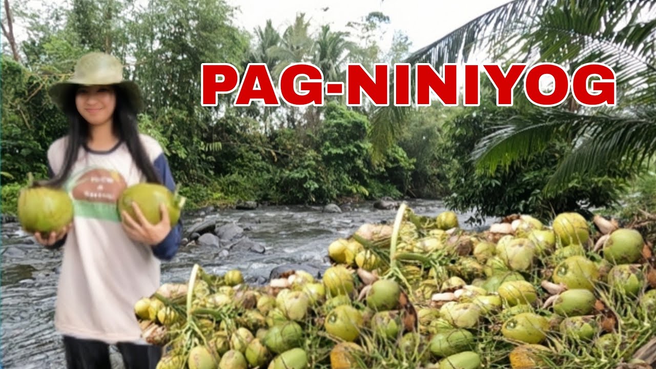 PART 1| Nag niyog kami nina nanay sa area 4 sa bukid 