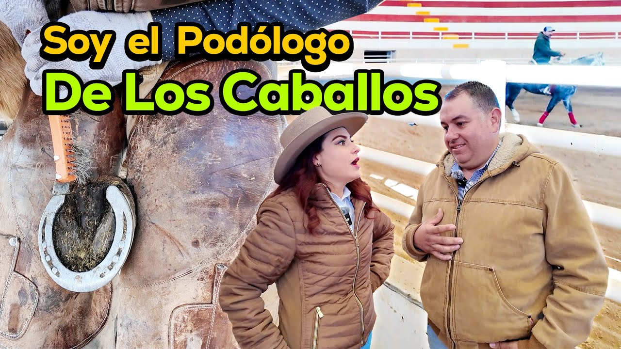 La PODOLOGÍA EQUINA: La salud de nuestros animales es lo primero | ALMA CORONEL