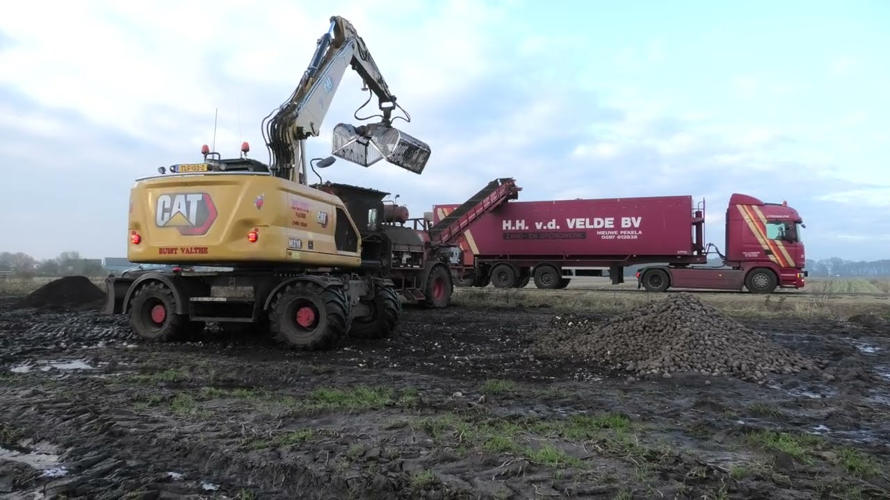 ZETMEEL AARDAPPELEN LADEN  VOOR DE AVEBE CAT M 318 BUIST VALTHE