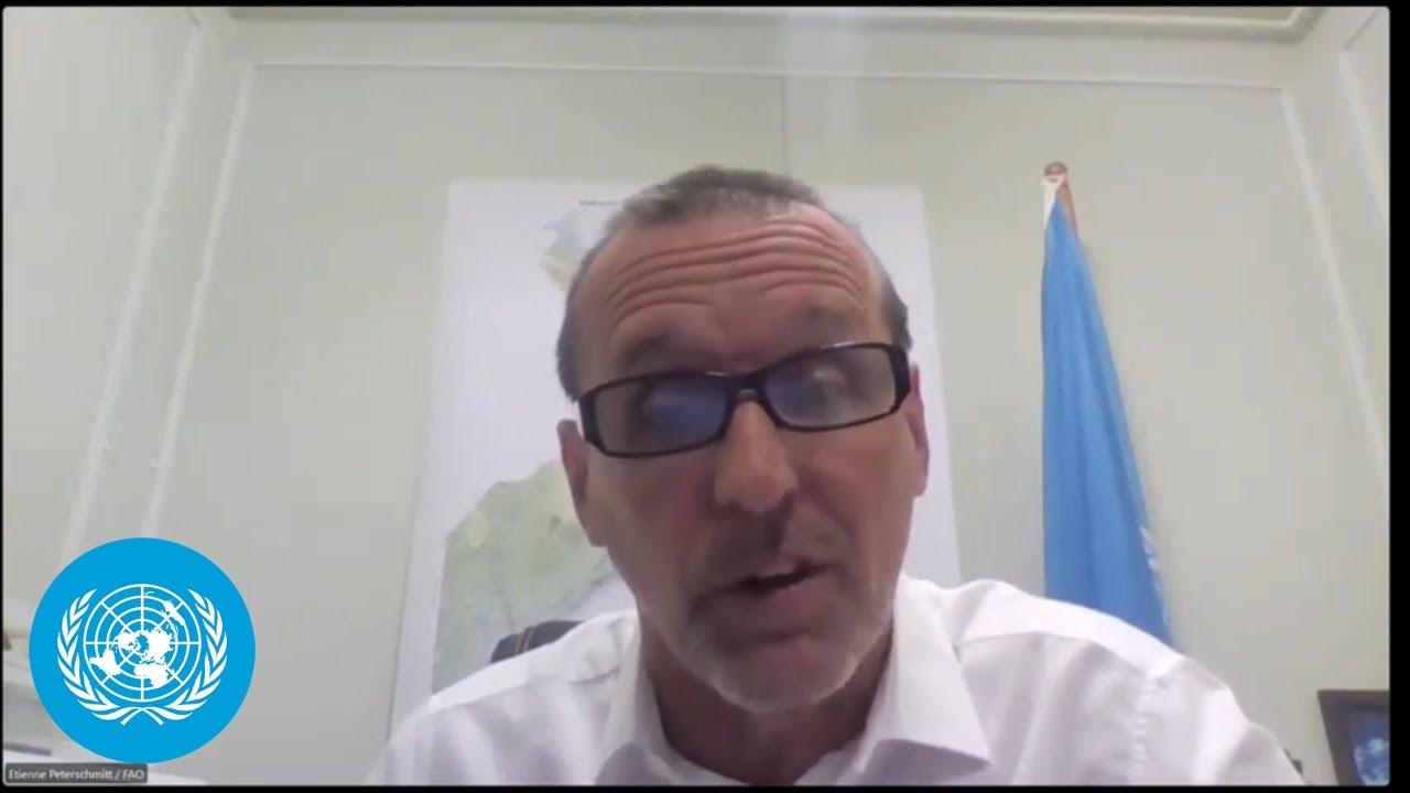 Famine in Somalia &ndash; 6.7 million Somalis are expected to face acute food insecurity | United Nations