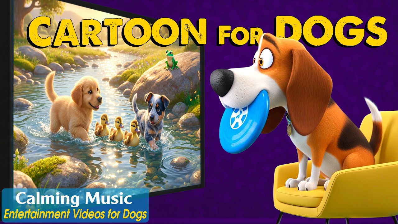 Cartoon for Dogs: All-Day DOG TV & Anti-Anxiety Music for Dogs Home Alone - Relaxing Videos for Dogs
