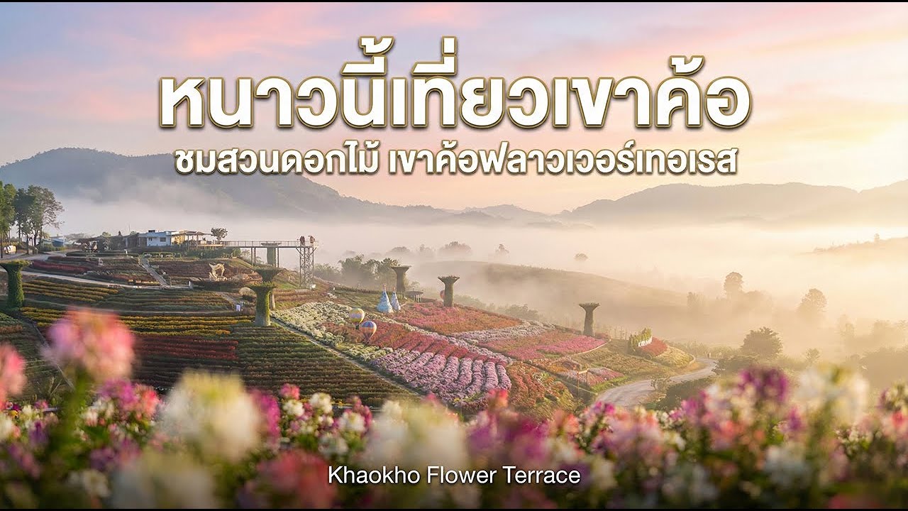 สวนดอกไม้ เขาค้อฟลาวเวอร์เทอเรส Khaokho Flower Terrace เขาค้อ เพชรบูรณ์