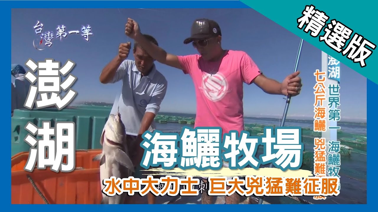 台灣第一等【世界第一海鱺牧場 