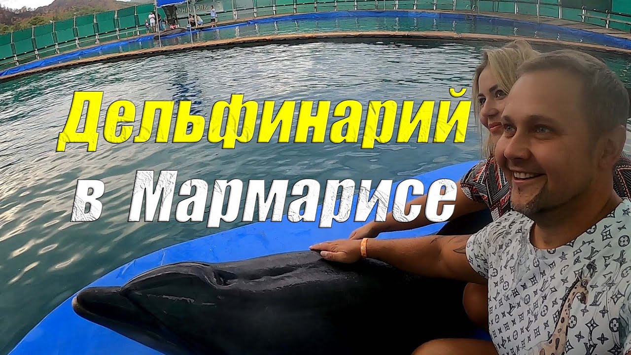 Дельфины в Мармарисе Турция | Dolphins in Marmaris Turkey