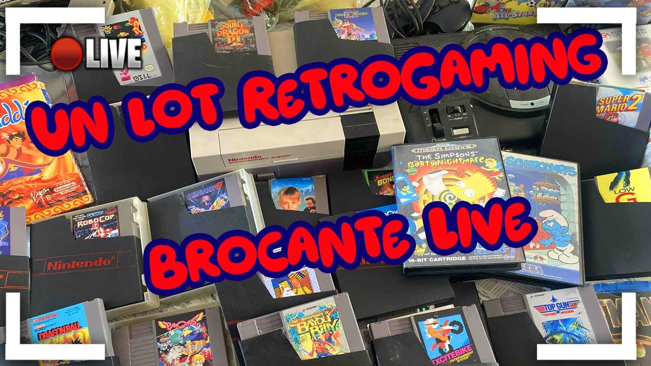 Brocante Live Un Achat Impr&eacute;vu qui fait mouche !!! Amstrad CPC Dsi Nintendo GameBoy