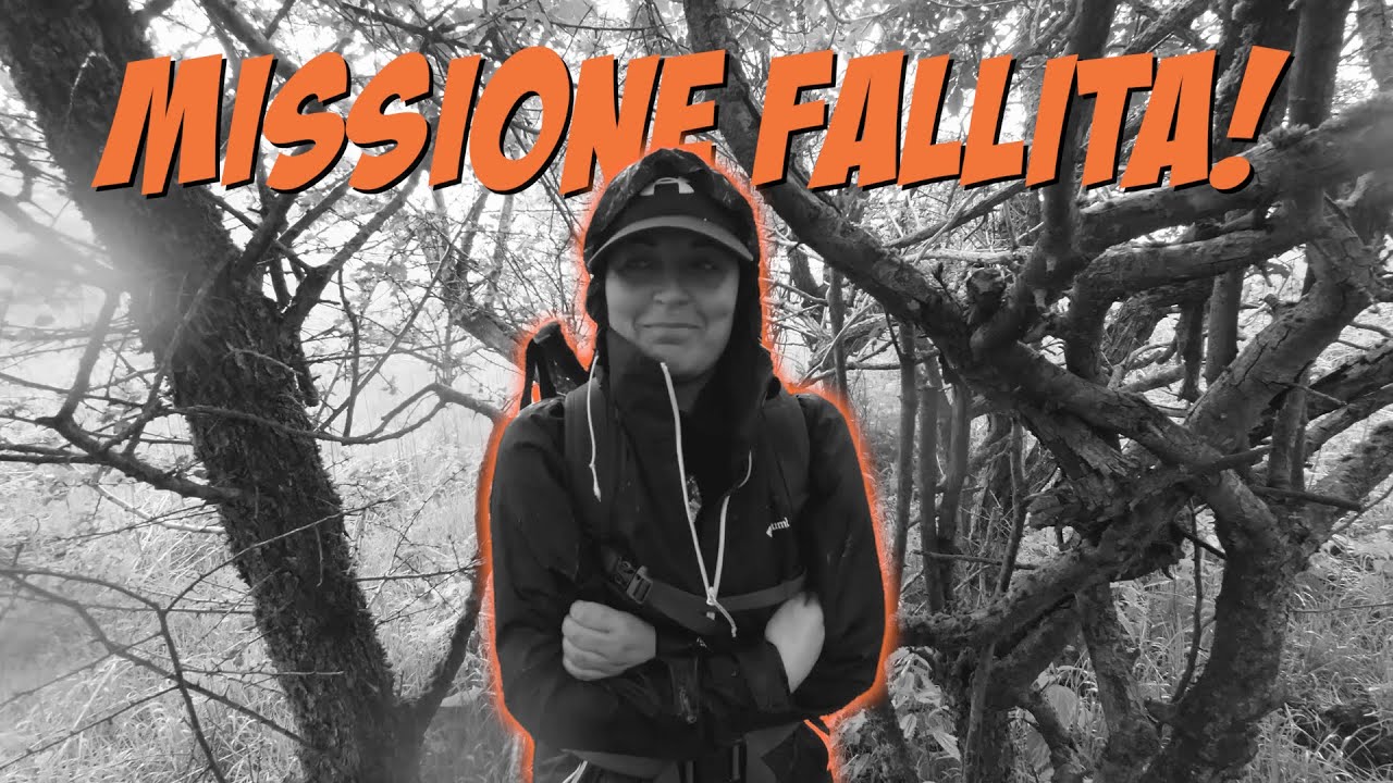 Monte Prana dal Passo del Lucese: natura, panorami e... pioggia inattesa 🌧️