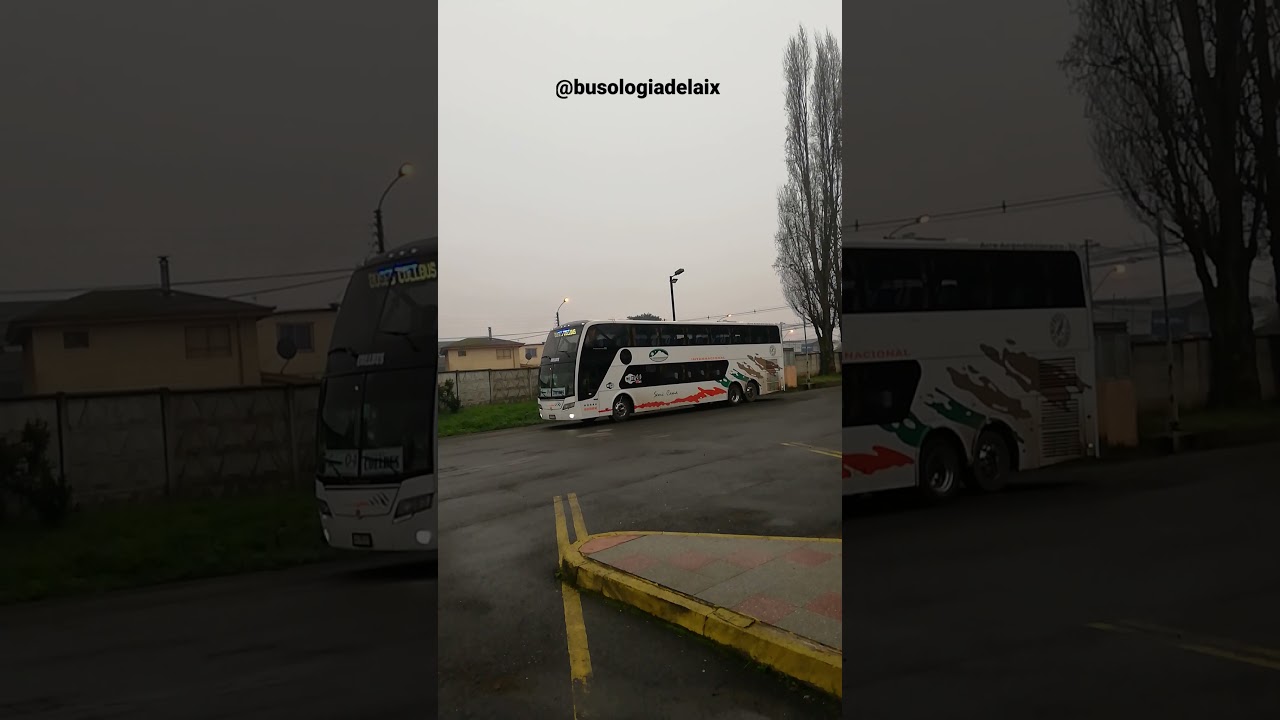 Busscar Panoramico DD S1 | Mercedes Benz O-500RSD | Buses Collbus