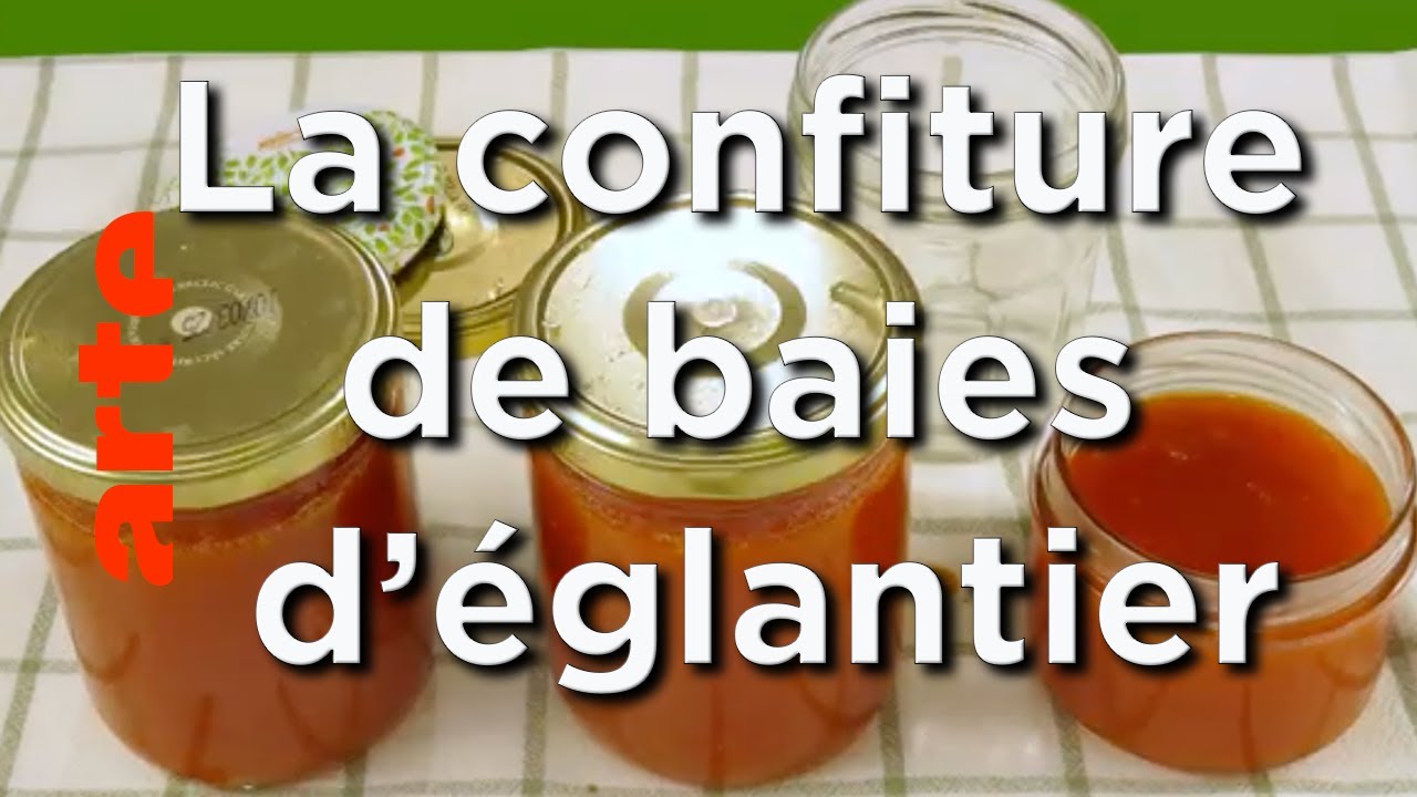 La confiture de baies d'églantier - Karambolage - ARTE