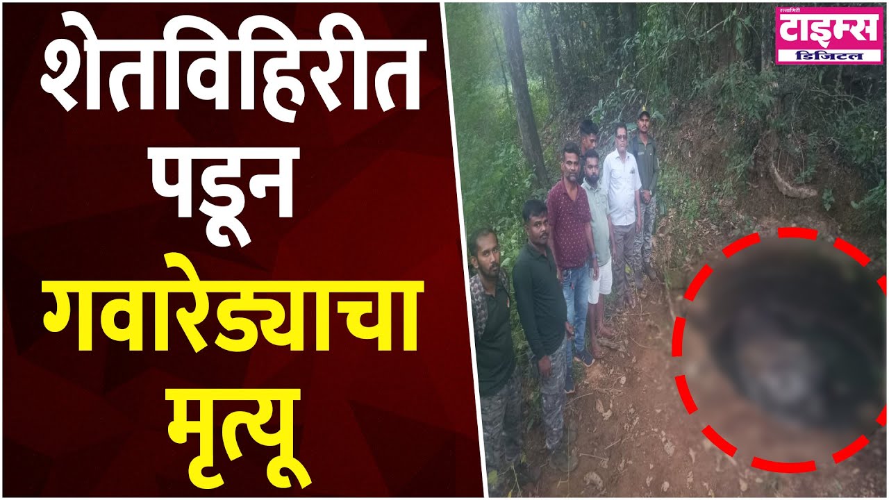 Dodamarg   |   शेतविहिरीत पडून गवारेड्याचा मृत्यू    #ratnagiritimes