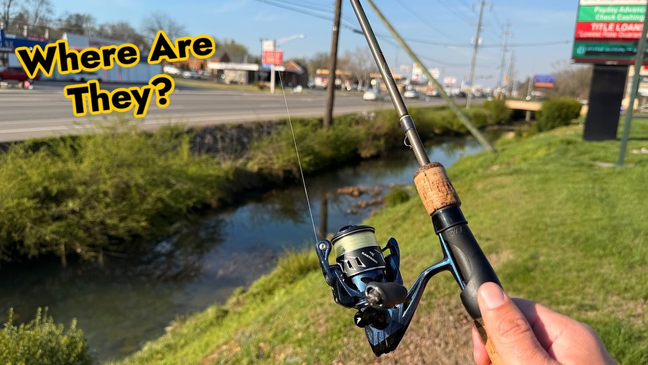 Is It CREEK Time Yet?