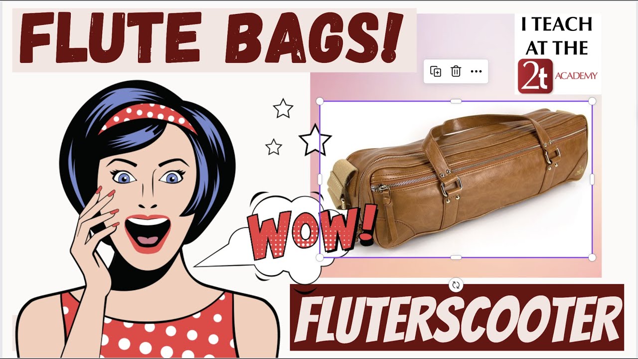FLUTERSCOOTER - a mini promotional feature of fluterscooter's amazing custom flute bags!