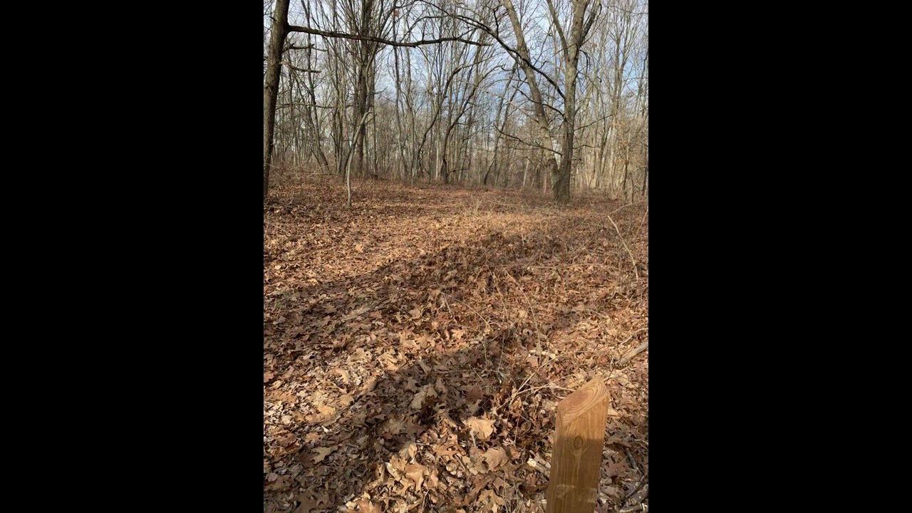 Putnam County Land Trust &ndash; Field Farmstead - Overgrown Meadow