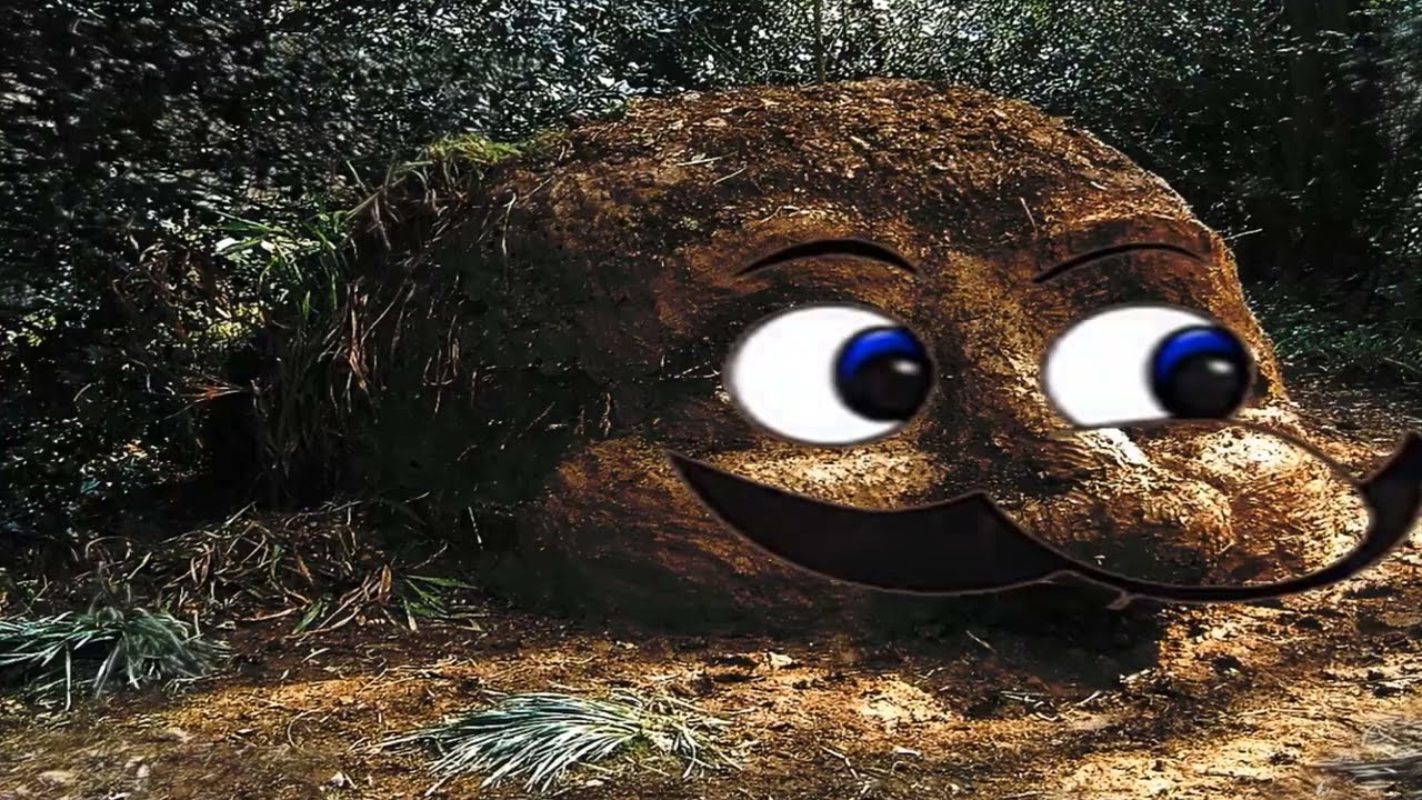 MealBuscus