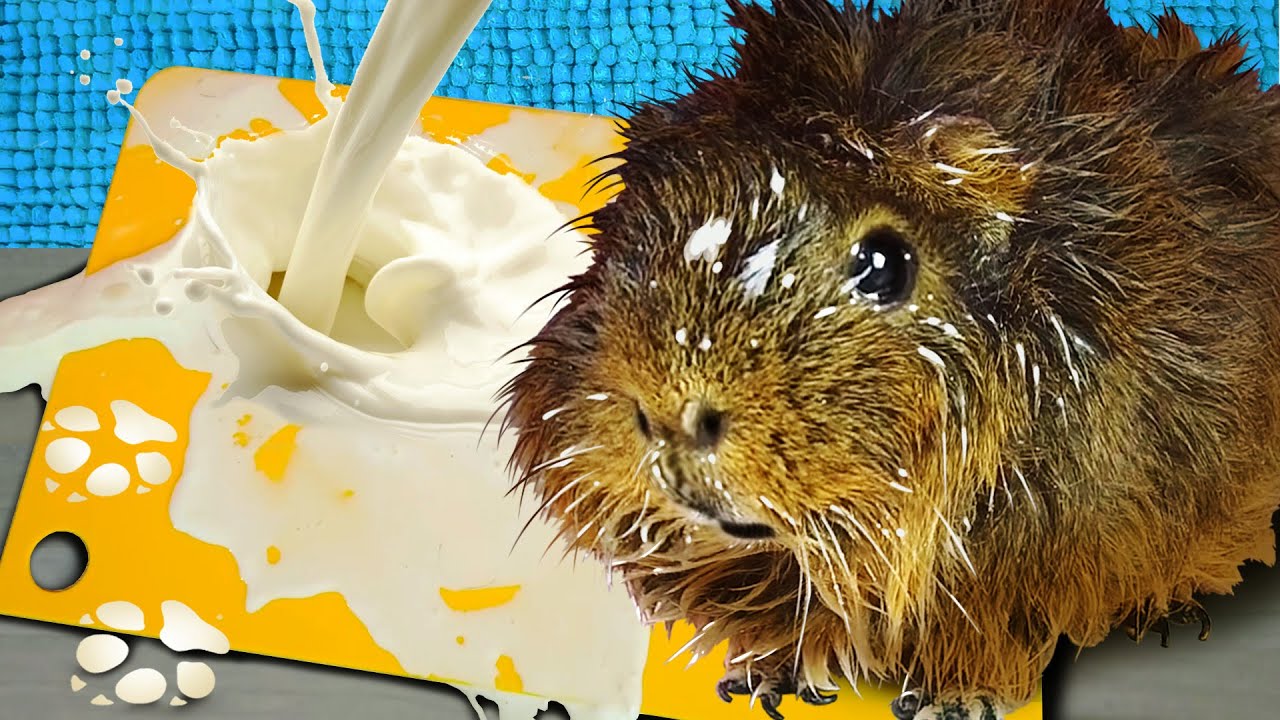 Запоротый челлендж про желания - Магия 24 часа