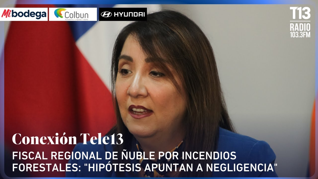 Fiscal de Ñuble por incendios forestales: 