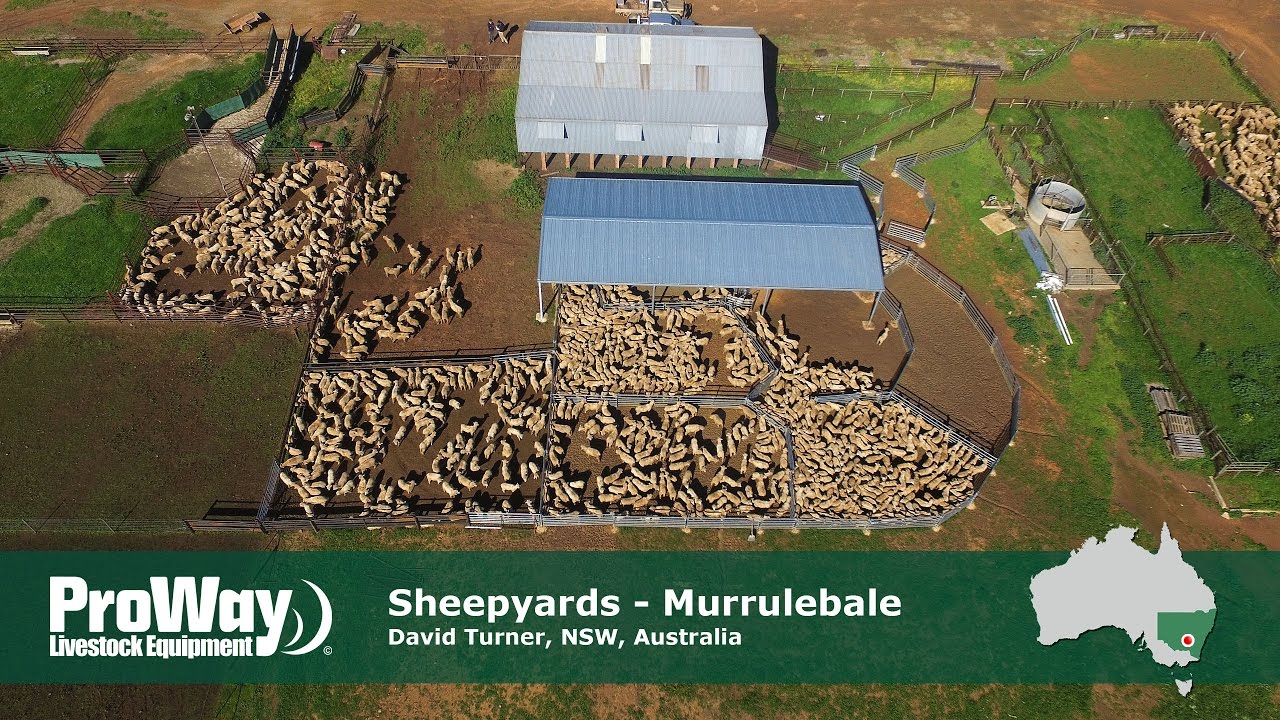 ProWay Sheepyards and Shearing Shed, Murrulebale NSW