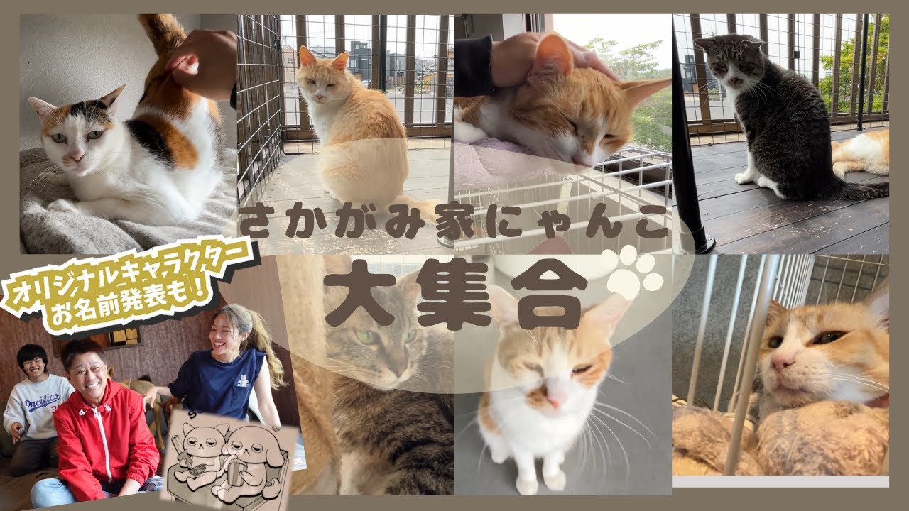 さかがみ家ニャンズ、離れも母屋もかわいいが止まらない！〜さかがみ家オリキャラネーミング発表！〜