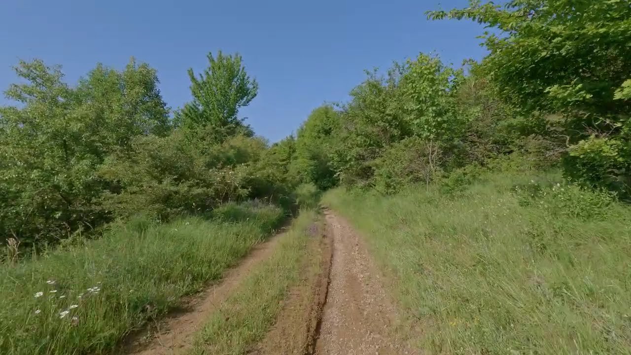 До връх Острица (1200 м.) от село Кладница