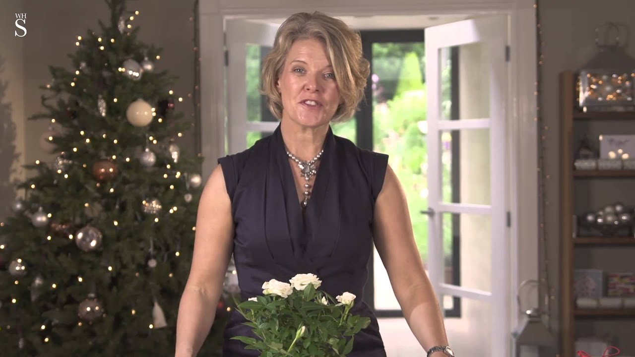 WHSmith Presents how to wrap a plant with Jane Means
