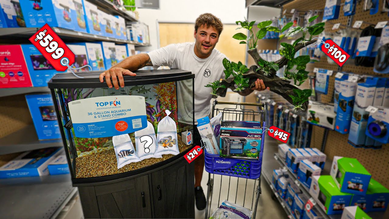 I Bought a NEW AQUARIUM for a SECRET FISH I&rsquo;ve been Hiding&hellip;