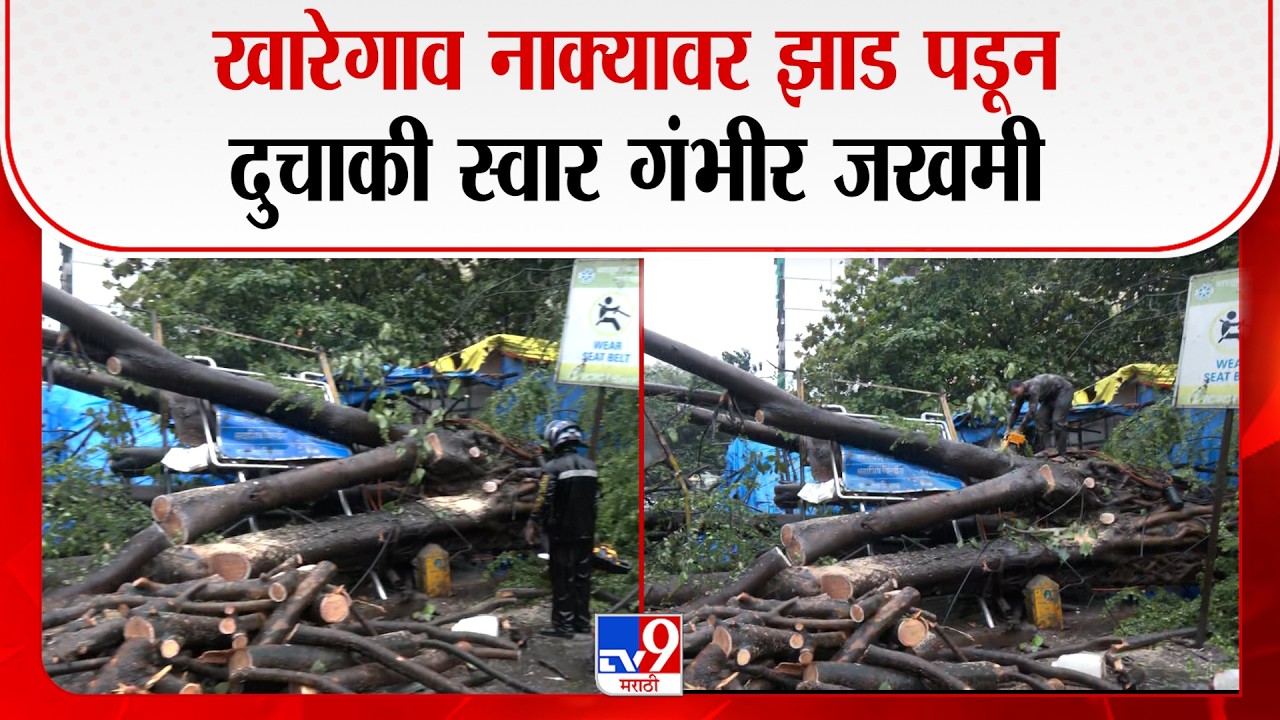 Thane Rain | खारेगाव नाक्यावर झाड पडून दुचाकी स्वार गंभीर जखमी | Tree Collapse