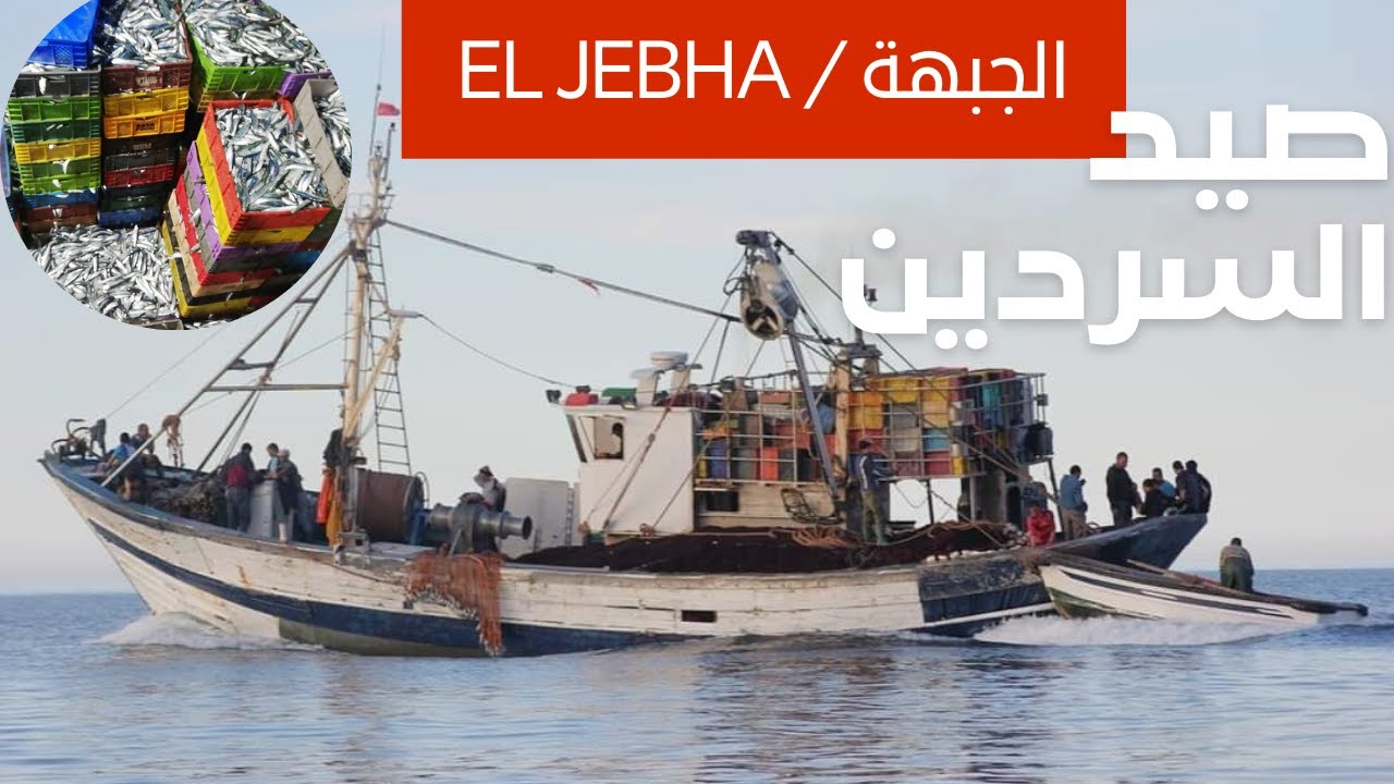 وثائقي: صيد السردين من سواحل الجبهة مع مركب 