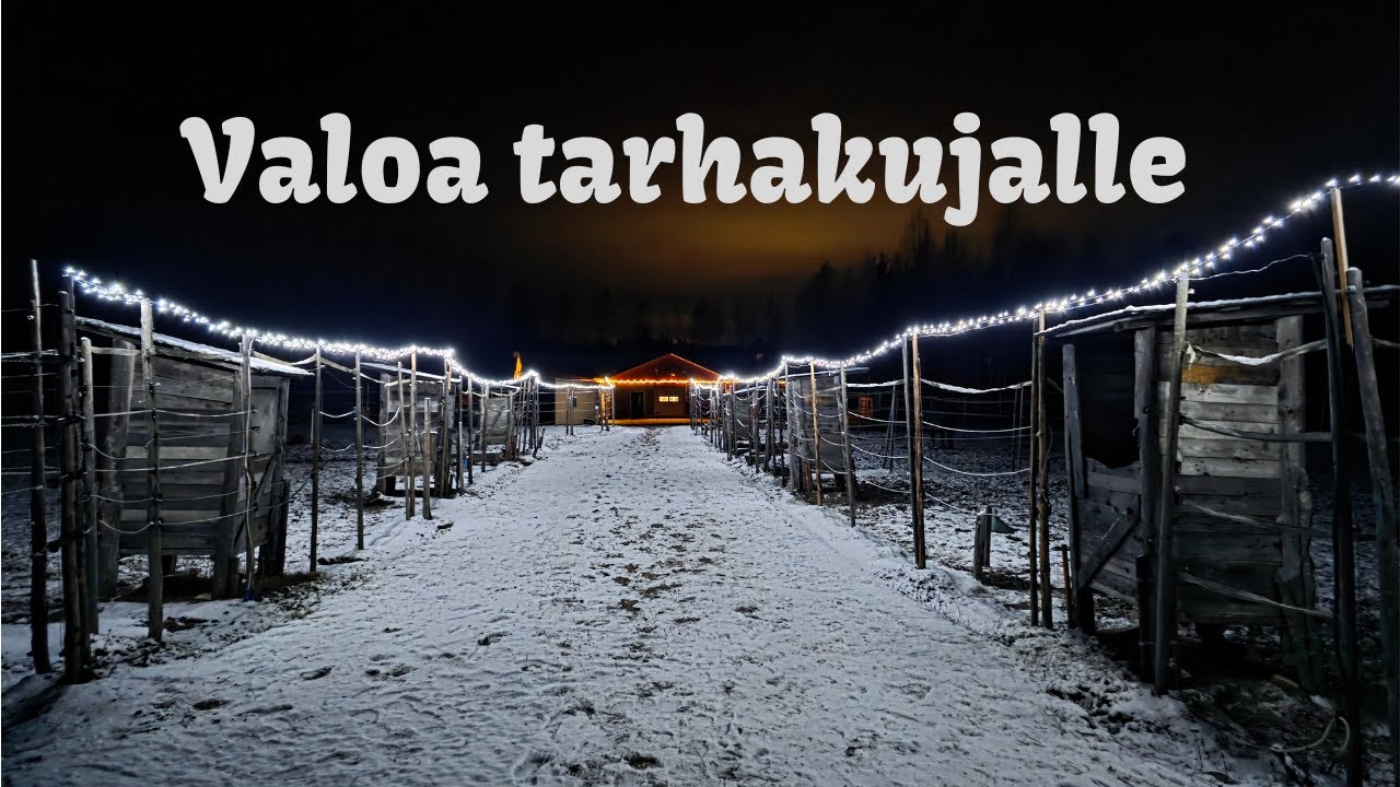 Valoa tarhakujalle