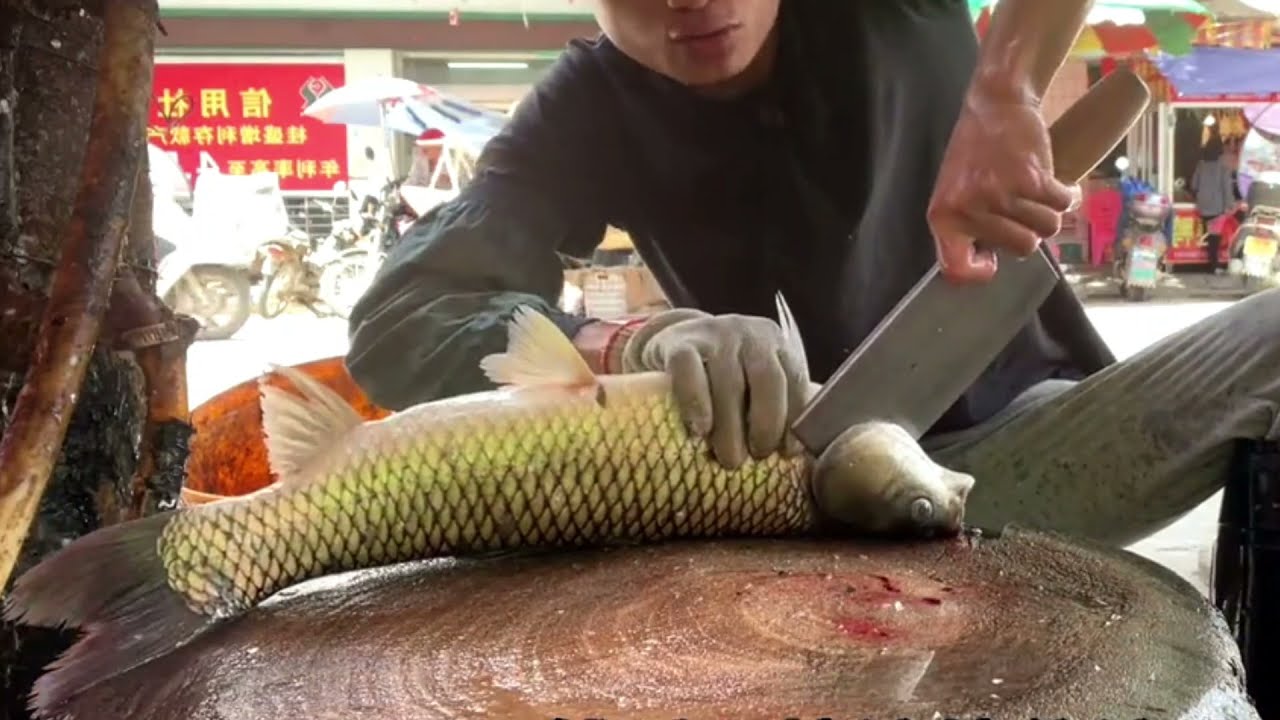 Cutting Grass Carp for BBQ | Fish Cutting expert Fish market