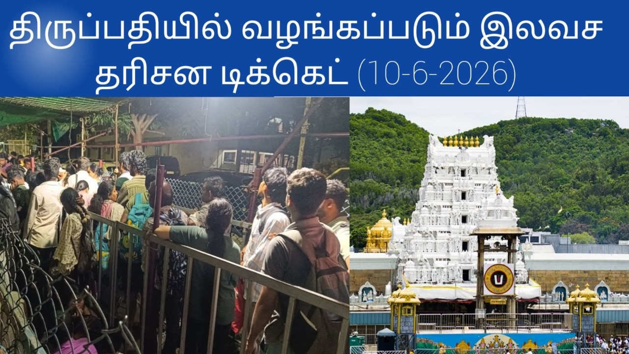 Tirupati updates today Tamil | (06/15/2026)#tirupati