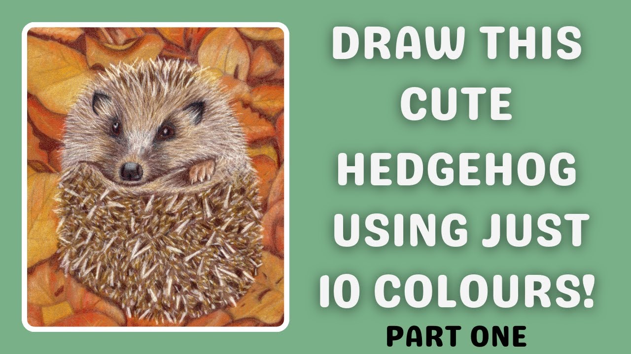 Draw this Cute Hedgehog In Just 10 Colours | Pt 1 | Coloured Pencils