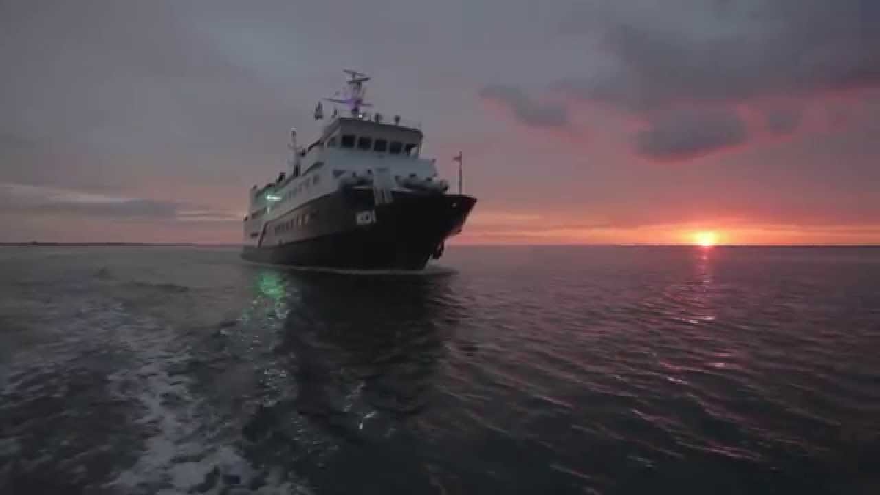 Trailer Houseboat MS KOI 2