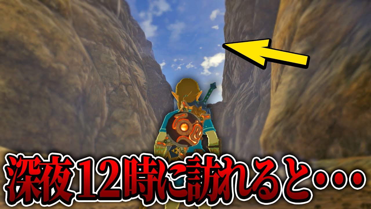 ３か所で謎解きをクリアすると〇〇が強化されるらしいので行ってみたら...『リーバルの詩編』【ゼルダの伝説/ブレスオブザワイルド/ティアキン実況者】
