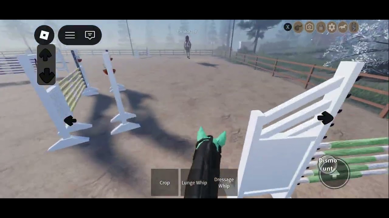 Jump with me and jet 