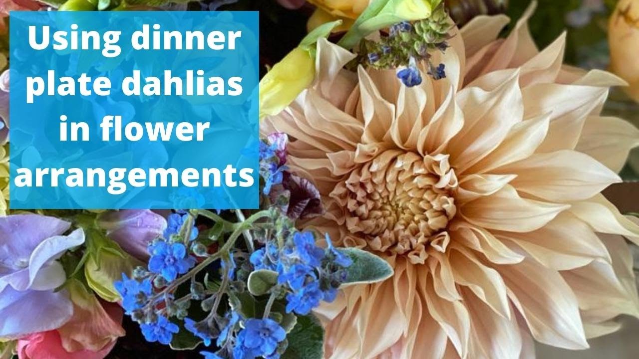 How to use dinner plate dahlias in hand tied bouquets