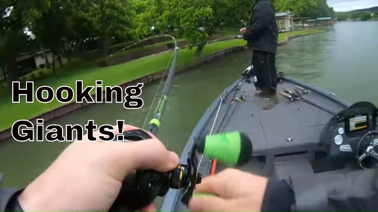 Lake LBJ Bass Champs Tournament May 2019!