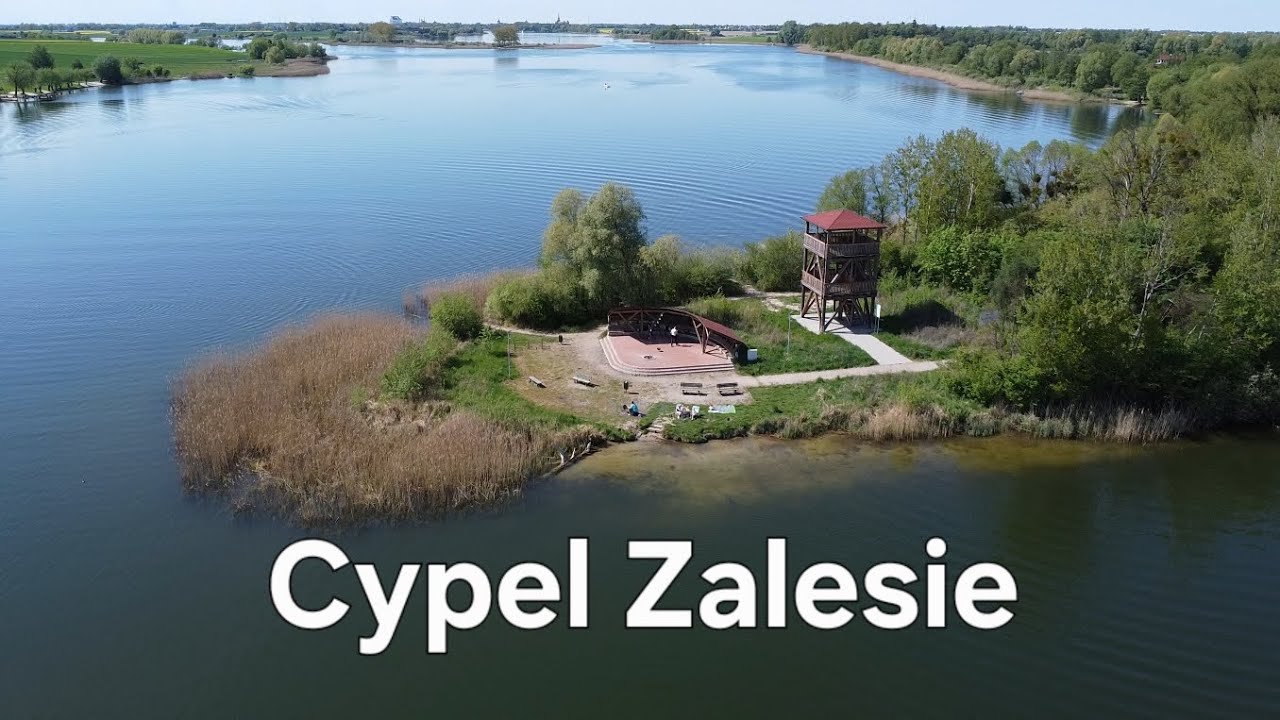 Cypel Zalesie nad Jeziorem Chełmżyńskim - Odkryj Kujawsko-Pomorskie