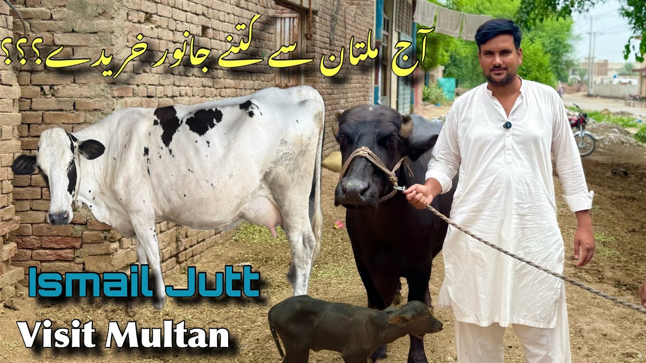 Today Ismail jutt visit Multan