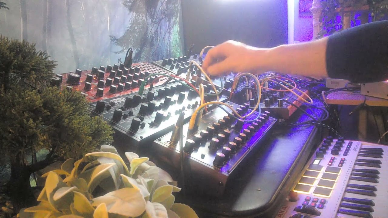 11620261 Experimental Synth JAm
