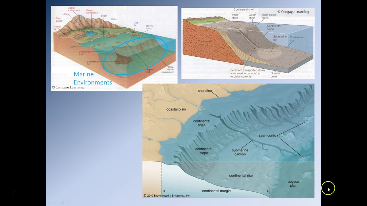 Lecture 9 – Sedimentary Rocks the Archives of Earth History Part 2 (Pt 2)