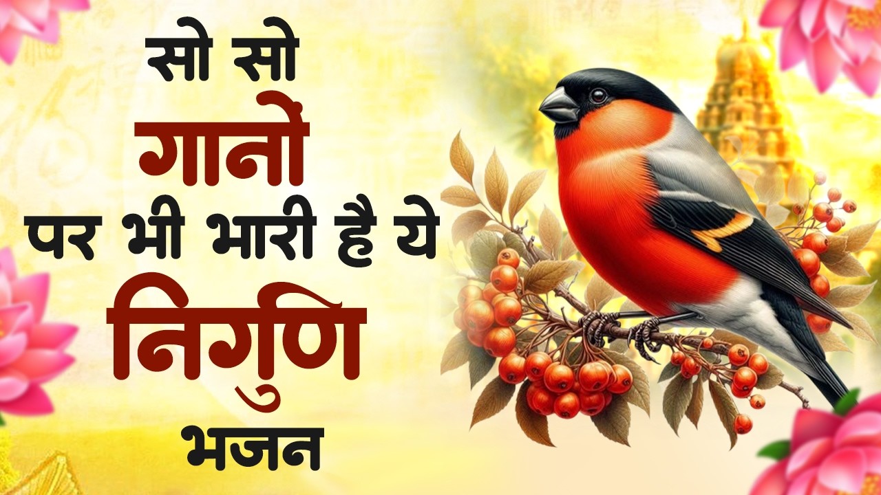 सबसे ज्यादा सुने जाने वाले निर्गुण भजन | Nirgun Satsangi Bhajan | Nirgun Vani | Latest Nirgun Bhajan