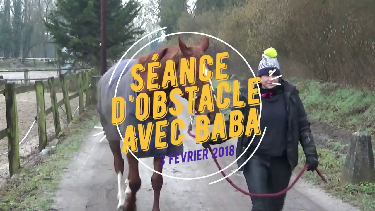 [Cours de Saut] Travail d'hiver et test Equisense à l'obstacle