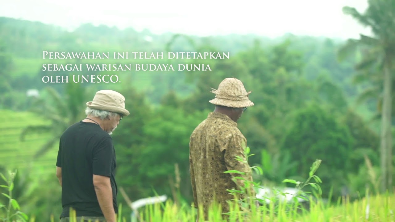 Episode 1: Iwan Fals turun ke sawah Jatiluwih, Bali.