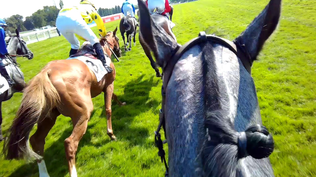 Kevin Nabet & Edward d'Argent   Course Grand Steeple Chase de Paris 2018