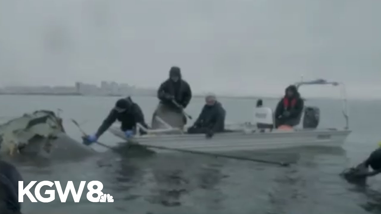 New report reveals details on DC plane crash