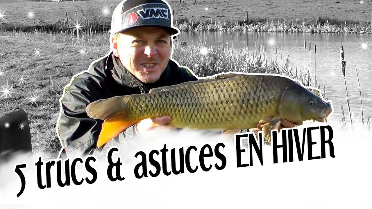 Pêche au feeder en hiver